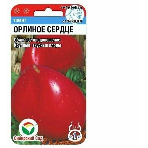 ������ ������ ������ ����� ������� ������ ������� ��������� ��� (1 ��������-20�� �����) ����