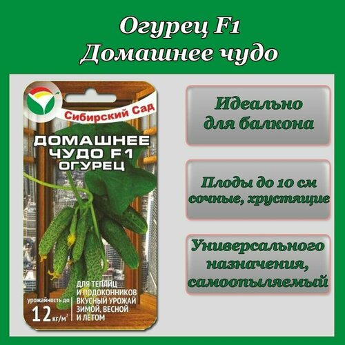 ������ ������ ������ �������� ���� (1 �������� -7�� �����) ����