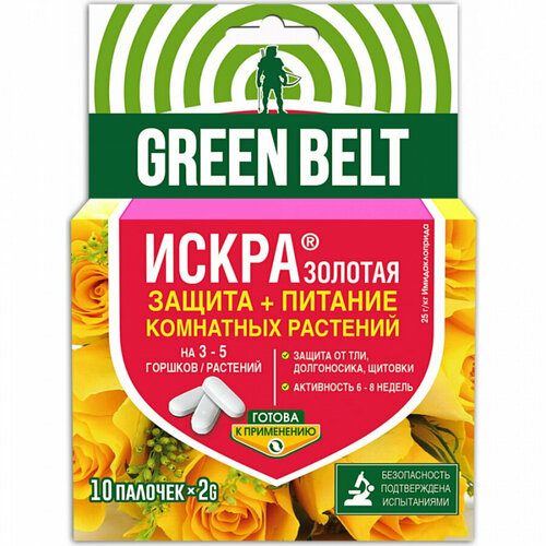 ������ ������ ������ ��������� �������� ����� ������� 10 ������� 2�� ����