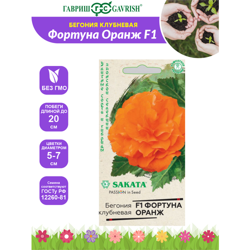 ������ ������ ������ ������� ������� ����� F1 ������ ��������� 4 �� ����