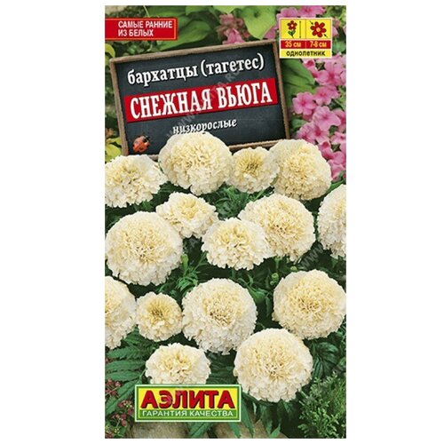 ������ ������ ������. �������� 