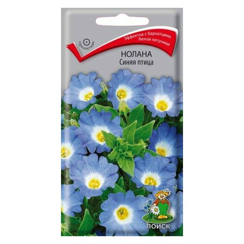 ������ ������ ������ ����� ����� �����. 0,2�. (�����) ����