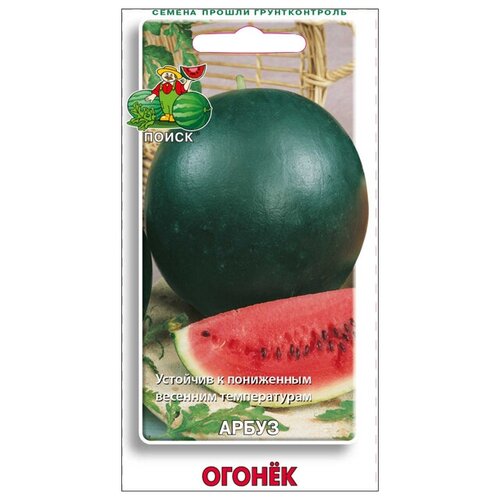 ������ ������ ������ ����� ������ 15�� ��� ����, ����, �������, ������� / ������� � �������� �������� ����