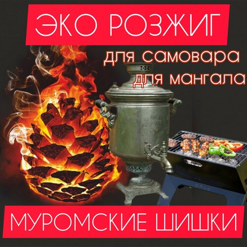 ������ ������ ��������� ��������� ����� ������������ ����