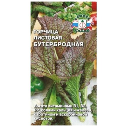 ������ ������ ������ ������� ����� �������� ������������ 1 � ����