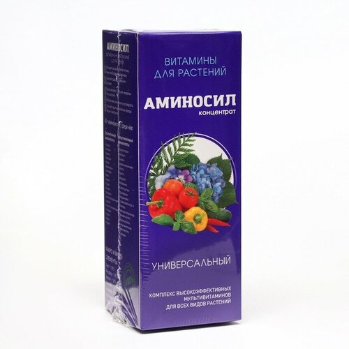 ������ ������ ��������� ������ �������� �������������, 250 �� ����