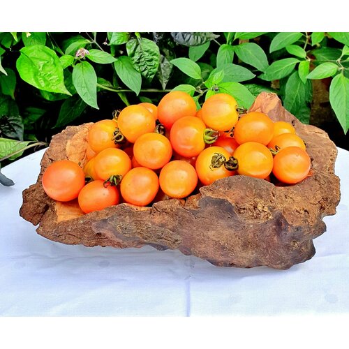 ������ ������ ������ ����� �������� ������ (Gnocchi di Limone) / Seeds And Goods / � �������� zip-lock ��� ���������� 10 ����� ����