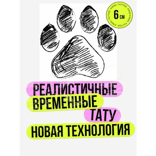 ������ ������ ���� ���������� �������������� �������� ����� ����