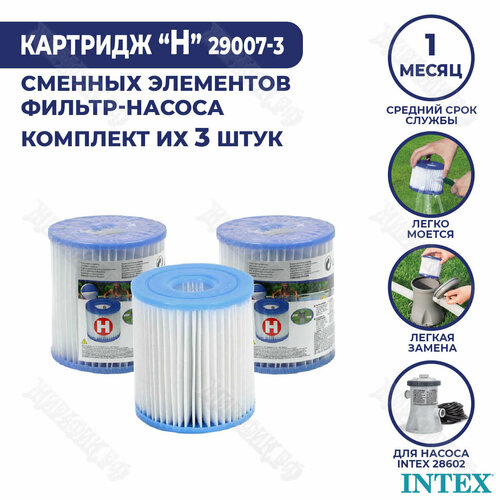     H Intex (- 3 .) 29007-3   -     , -,   