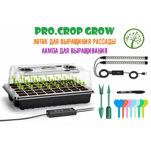 ������ ������ ���� ������ / ������� ��� ������� / ������ ���� ����������� / ����� ��� ������� ��� ����������� �� ���������� ����