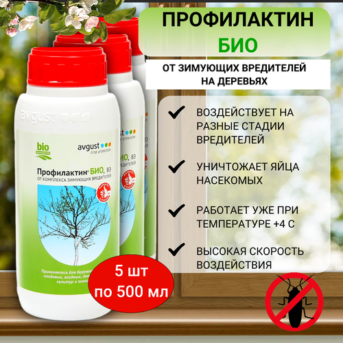 ������ ������ ����������� ��� �� ���������� ���� 500 ��, 5 �� ����