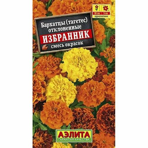 ������ ������ ������ �������� ���������, �����, ����. (����������) (������) 0,3� ����