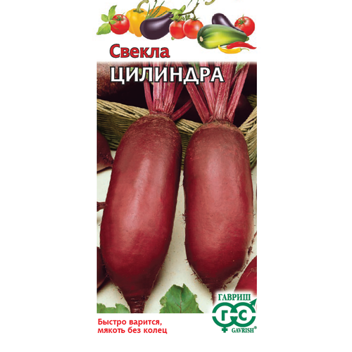 ������ ������ ������ ������ �������� 3� �������������� (������) ����