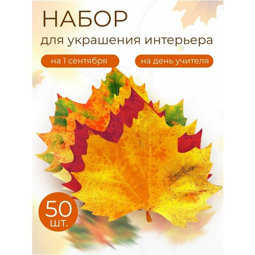 ������ ������ ������� ����� ���� �������� 