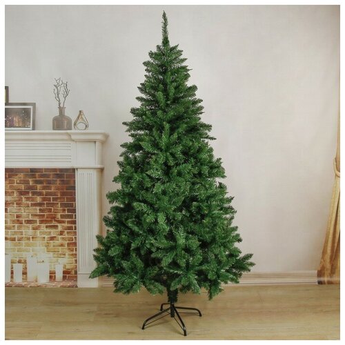 ������ ������ ��� ������������� ������ ���������� ���������, 180 �� ����