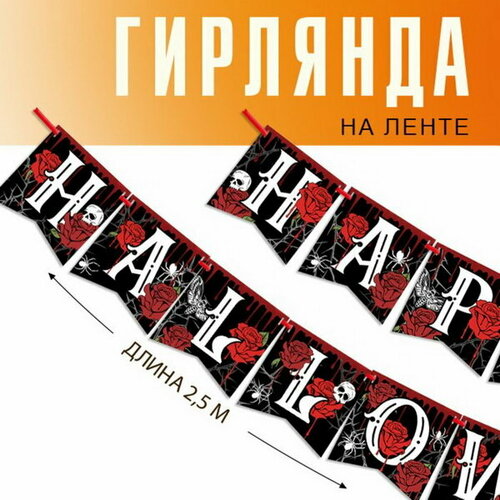 ������ ������ �������� �� ����� 