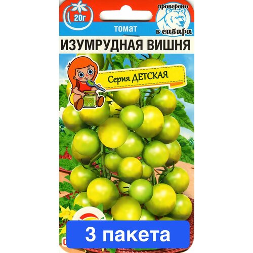 ������ ������ ������ ������ ��������� ��� 