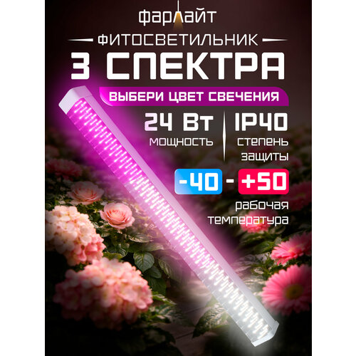 ������ ������ ��������� ��� �������� 3 �������, ������������ �����, �������� 24 ���� ����