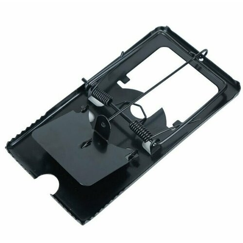 ������ ������ ���������-���������� ������������� 16*9 �� ����