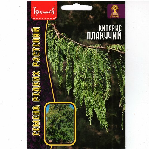 ������ ������ ������� ��������, ������������ ������ ( 1 ��: 20 ����� ) ����