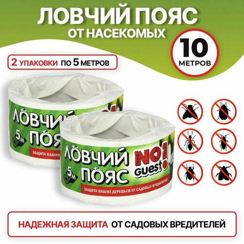 ������ ������ NoGuest! ������ ���� ��� �������� �� ������� ����������, 10 ��, 170 �, 2��. ����