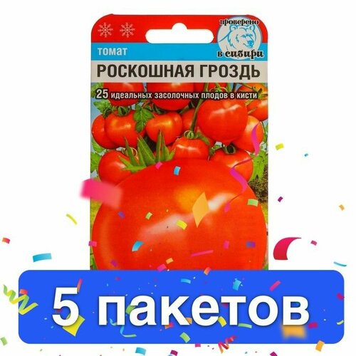 ������ ������ ������ ������ ��������� ��� 