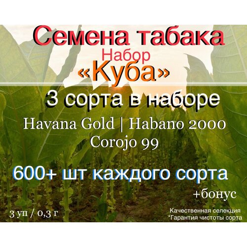 ������ ������ ������ ������ ����� 