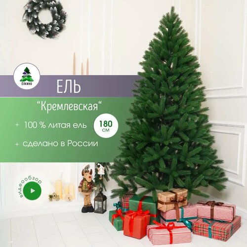 ������ ������ ������������� ���� 