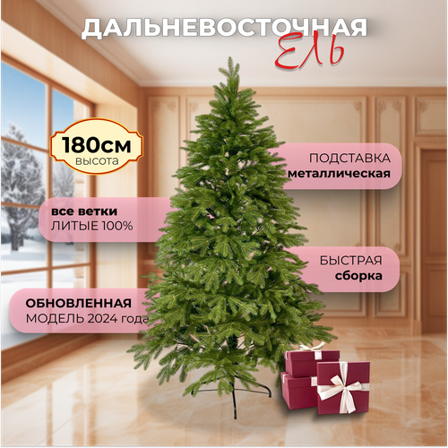 ������ ������ ���� ������������� ����� ����