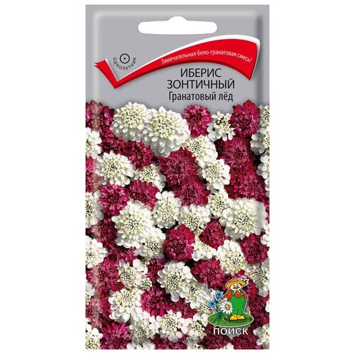 ������ ������ ������ ����� ������ ��������� ���������� ��� 0.1 � ����