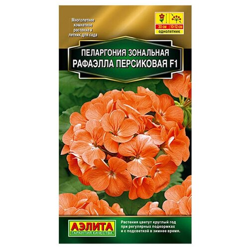 ������ ������ ������ ��������� ������ ���������� �������� F1 ���������� 5 ��. ����