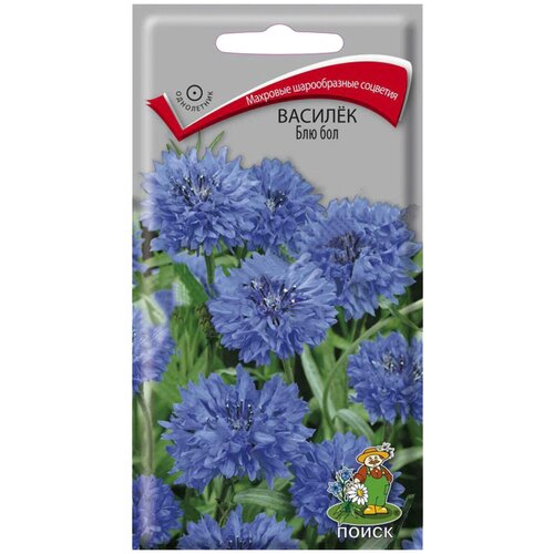 ������ ������ ������ ����� ������ ��� ��� 1 � ����