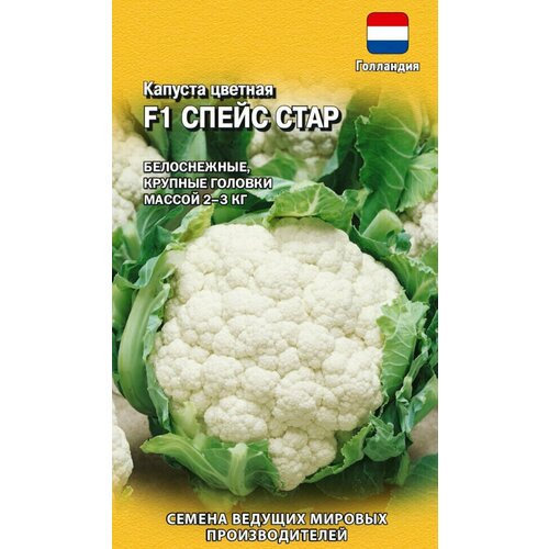 ������ ������ ������ ������� ������� ����� ���� F1, 10��, ������, ������� ������� ������������� ����