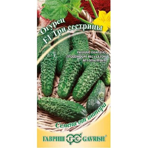 ������ ������ ������ ������ ��� �������� F1 10�� ������������������ ������ (������) ����� ����