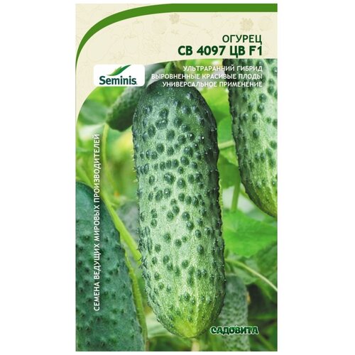 ������ ������ ������ ������ �� 4097 �� F1 5�� �������� (3 ������) ����