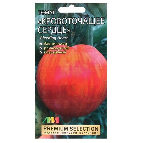 ������ ������ ������ ������ 