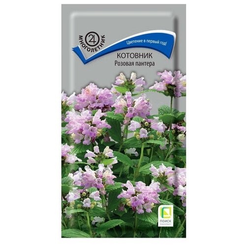 ������ ������ ������ �������� ������� ������� 10�� (� �����) ����