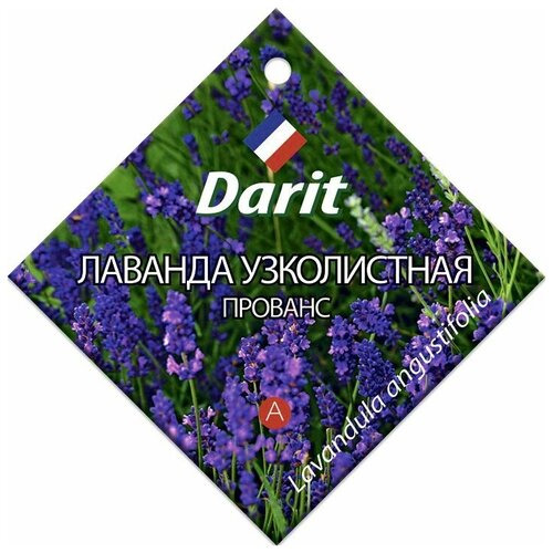 ������ ������ ������ ������ ������� ����������� 