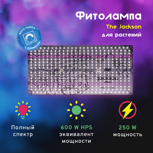  LED  The Jackson 250W     -     , -,   