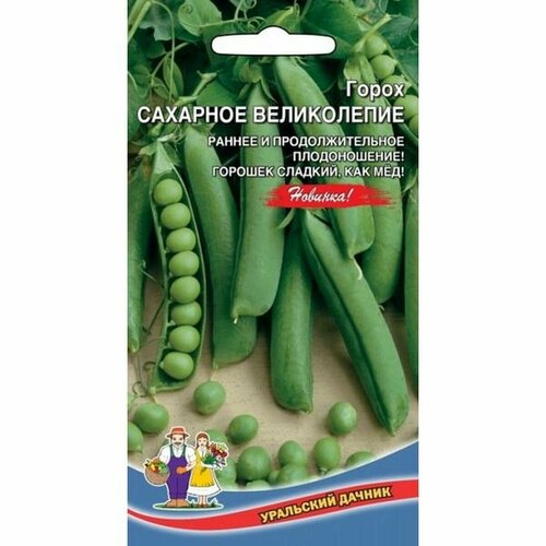 ������ ������ ������ ����� �������� ����������� 5� ����