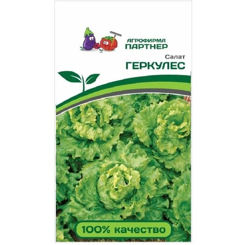 ������ ������ ������ ����� �������� ������� �������� 0,5 �� ����