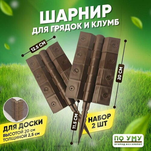 ������ ������ ������ ��� ������ �� ���, ������ 20 ��, ����� 2 �� ����