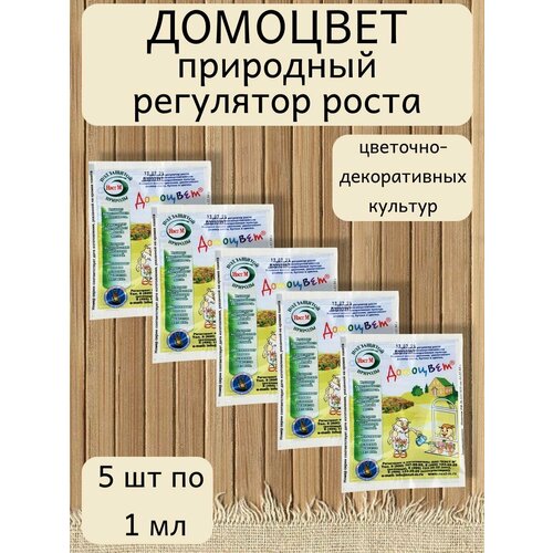 ������ ������ ��������� ��������� ����� �������� ���. 1 ��, 5 ����� ����