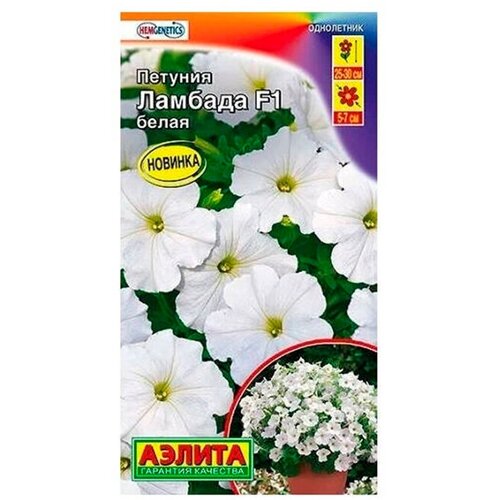 ������ ������ ������. ������� �������������� 