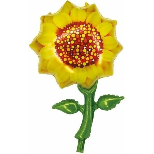 ������ ������ ��� (33'/84 ��) ������, ���������, ������, 1 ��. ����