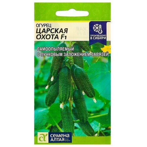 ������ ������ ������ ������ 