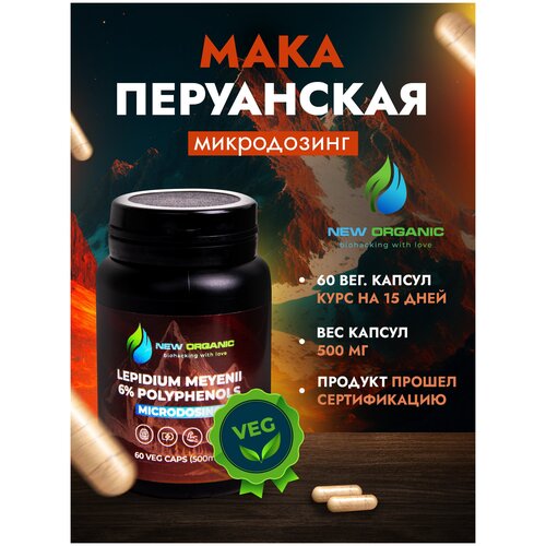 ������ ������ ���� ����������, 60 ������ �� 500�� ����