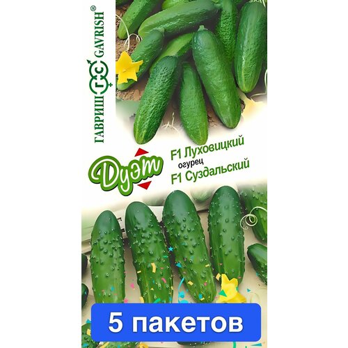 ������ ������ ������ ������ ������ 