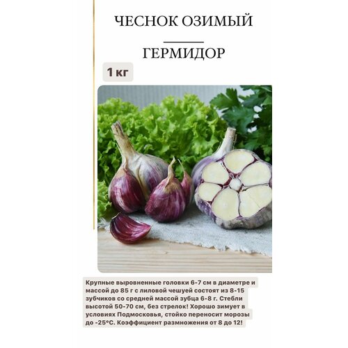 ������ ������ ������ ������ �� ������� 1 �� ����