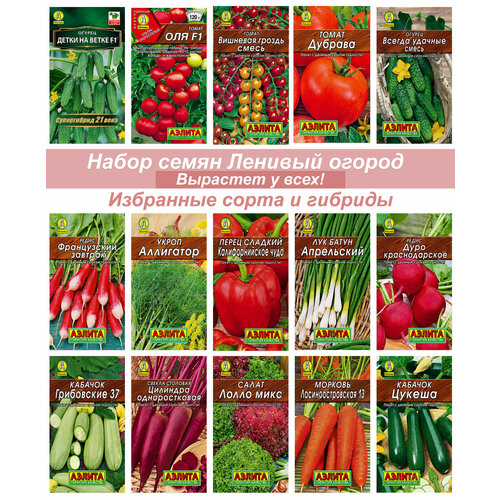 ������ ������ ������ ������, ������, ������� � �� ����